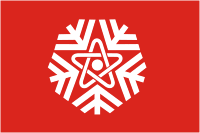 Снежинск флаг