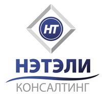 Логотип компании НЭТЭЛИ-Консалтинг, ООО