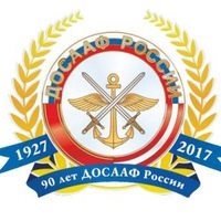 Логотип компании Региональное отделение ДОСААФ России Челябинской области
